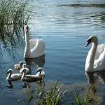 Gosciniec Yaga Wilkasy (Gizycko)