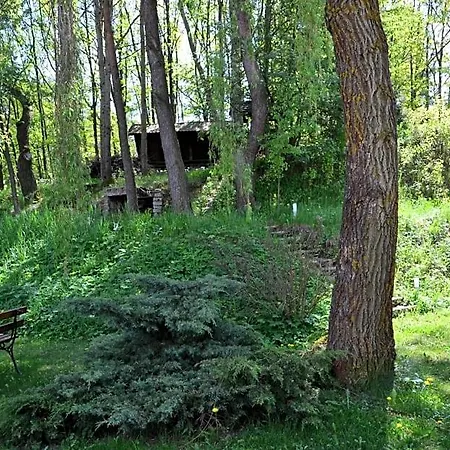 Bed and Breakfast Gosciniec Yaga